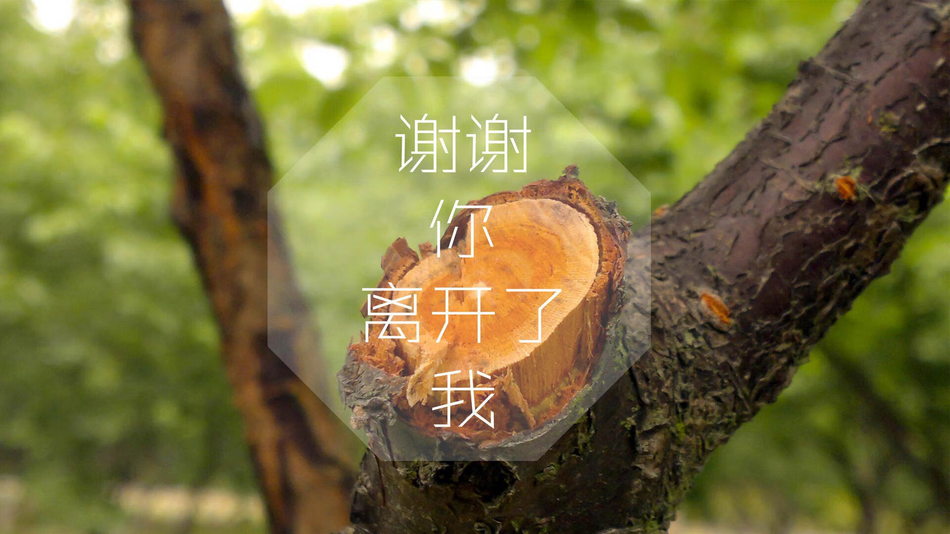 西甲：巴萨4-3战胜比利亚雷亚尔，莱万梅开二度刷新纪录，西甲第11轮巴萨vs比利亚雷亚尔