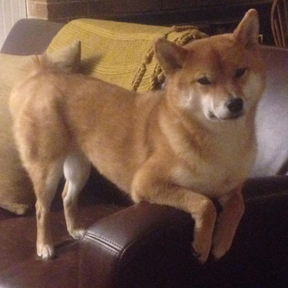 上港球员集训备战,为即将到来的比赛做最好的准备!,上港队训练基地