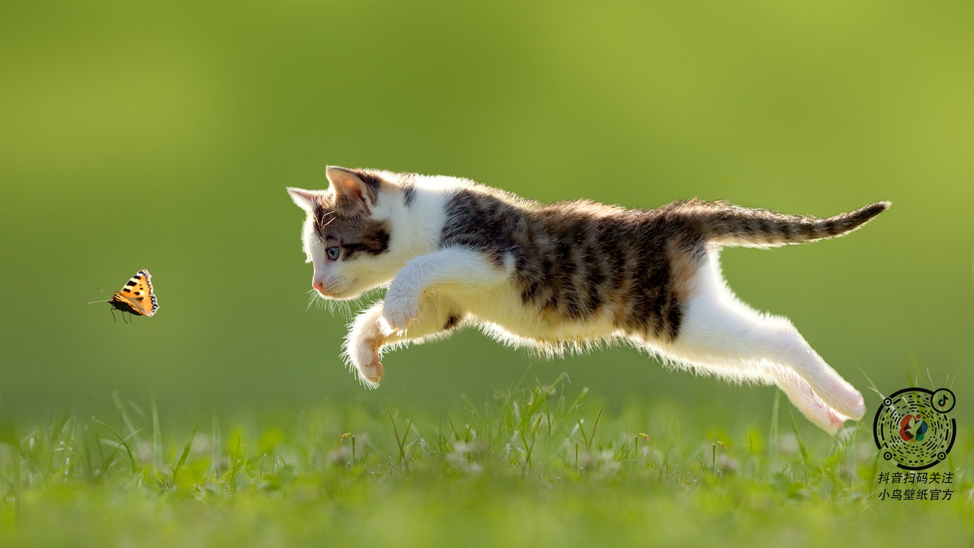 新闻中心公告体育企业入驻国家平台资质审核流程,体育公司资质包括哪些资料