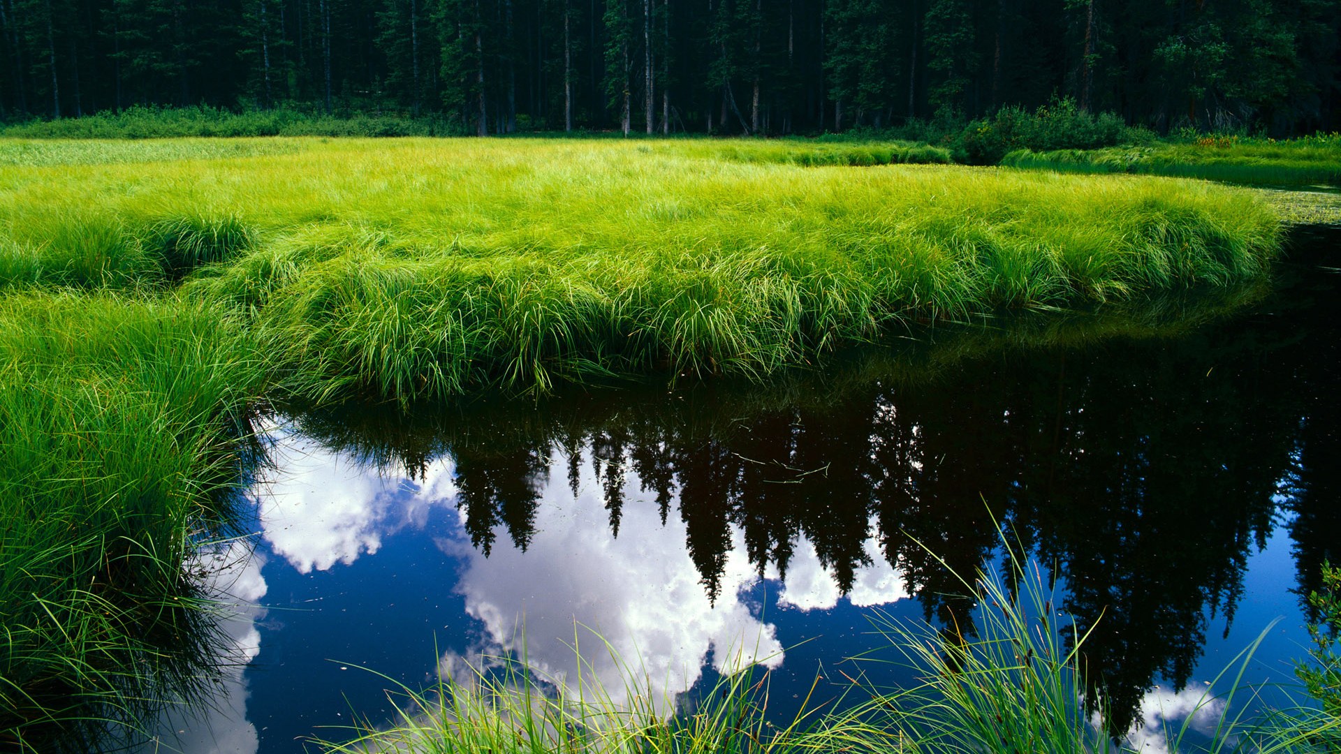游泳动作与国际顶级标准接轨,游泳技术动作