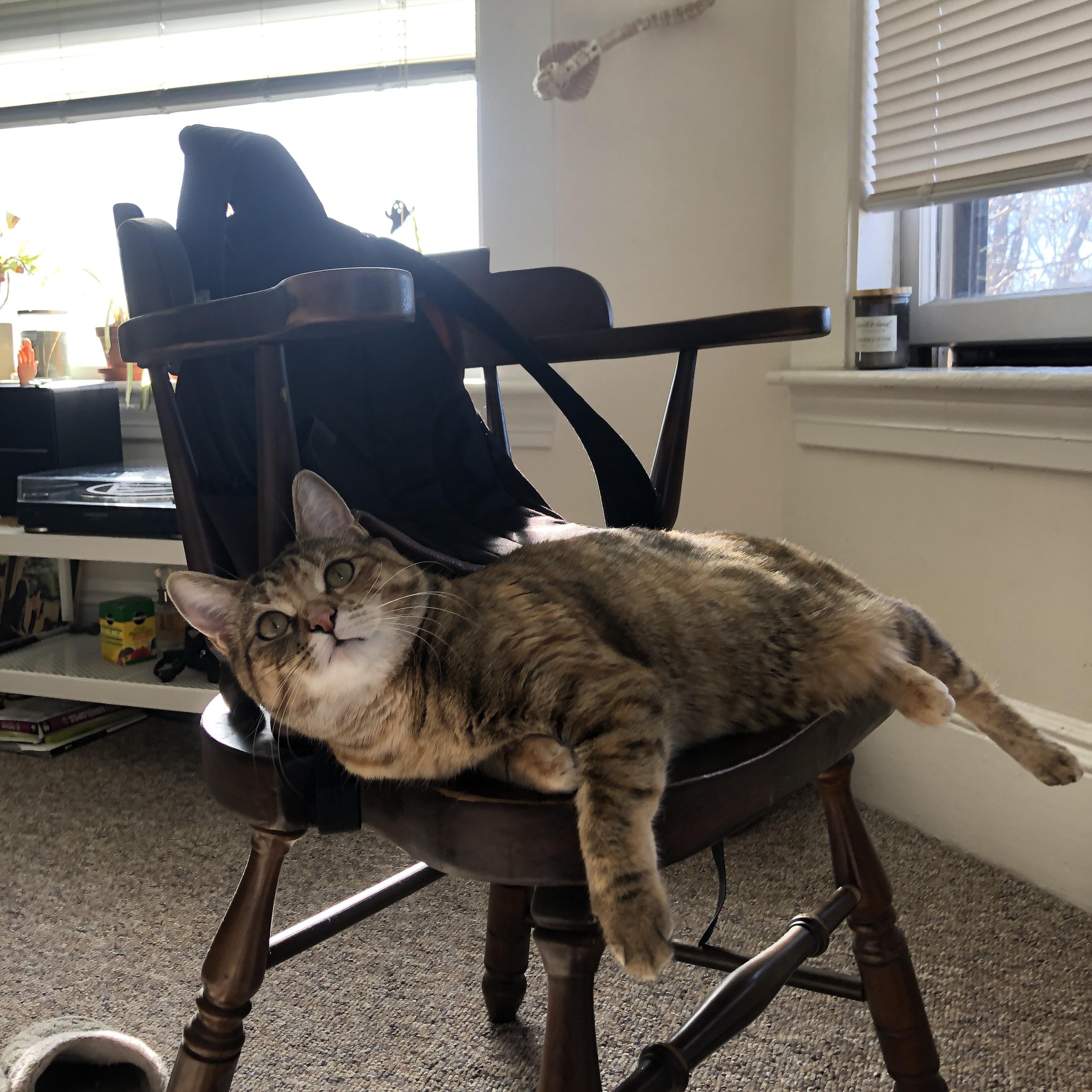 Leyu Sports (乐鱼体育)-隆戈：全黑队进攻的“秘密武器”，令对手胆寒的边锋