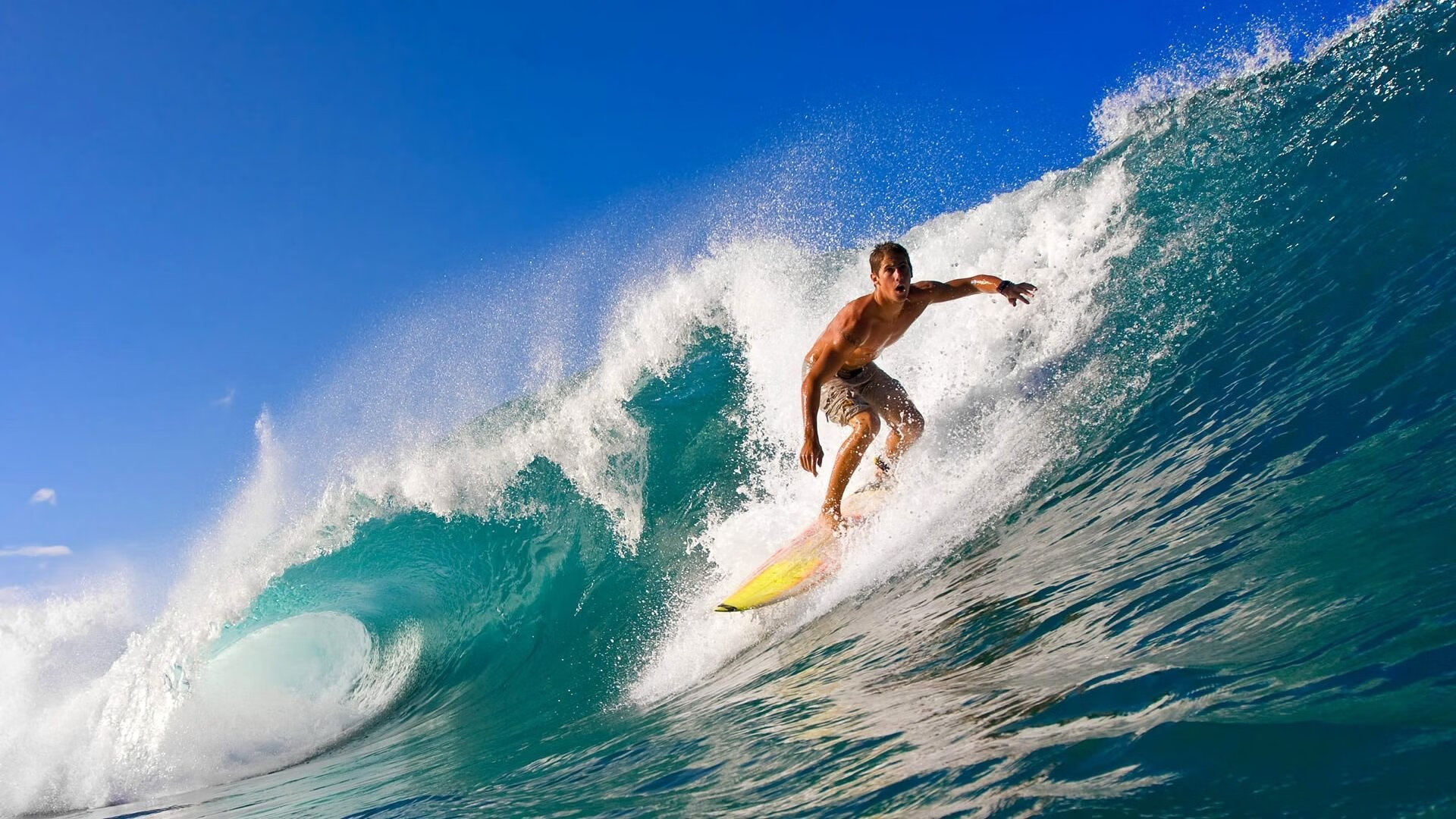 乐鱼体育平台-_场地创新：环保材料打造舒适比赛环境_，环保场馆